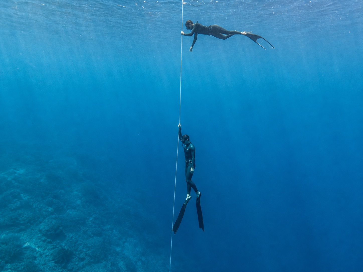 Freediver Line Session